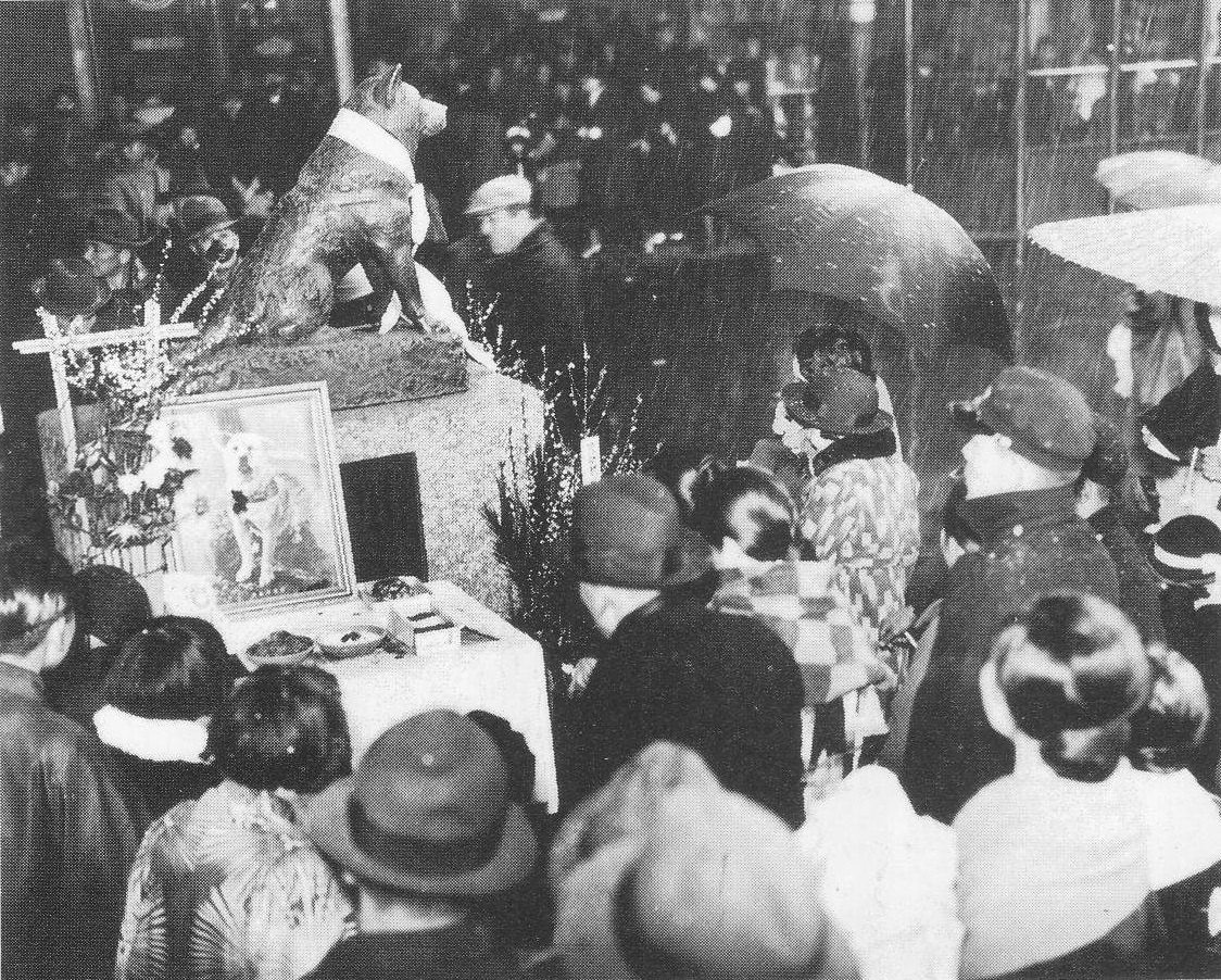 Годовщина смерти Хатико у памятника, 8 марта 1936 года